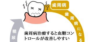 第1回 歯周病と肥満・糖尿病