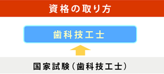 第30回 歯科技工士とは