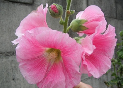 各病院photo01